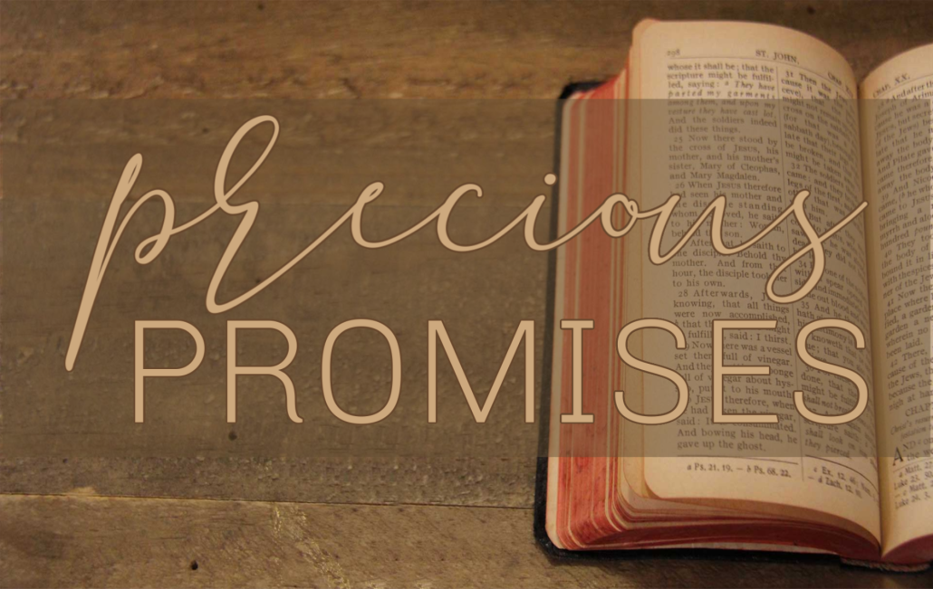 Precious Promises