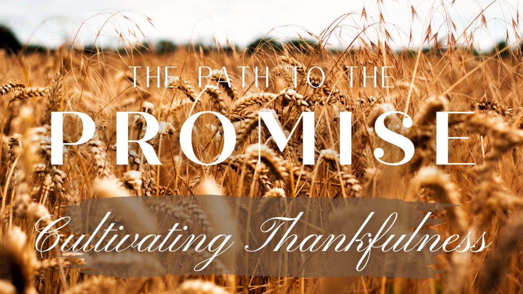 The Path to The Promise: Cultivating Thankfulness